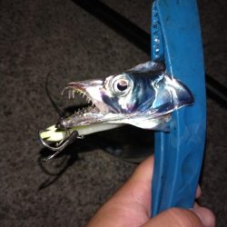 初めてのポイント